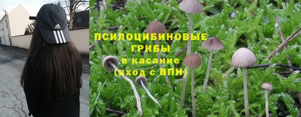 прущая мука Белокуриха