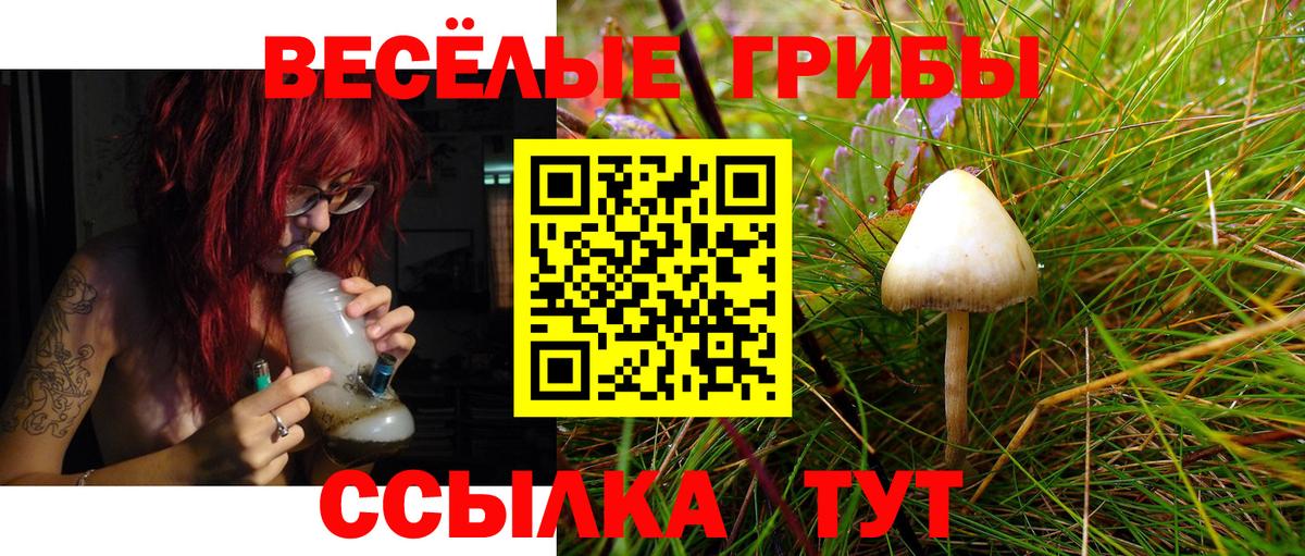 Городец  Псилоцибиновые грибы прущие грибы  Вход с VPN 