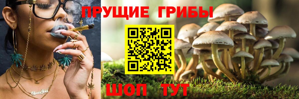 LSD-25 Городец